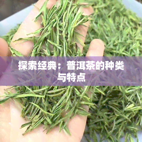 探索经典：普洱茶的种类与特点