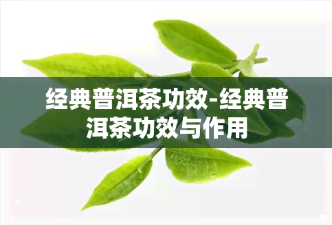 经典普洱茶功效-经典普洱茶功效与作用