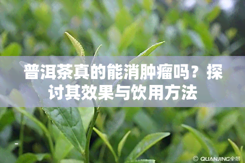 普洱茶真的能消肿瘤吗？探讨其效果与饮用方法