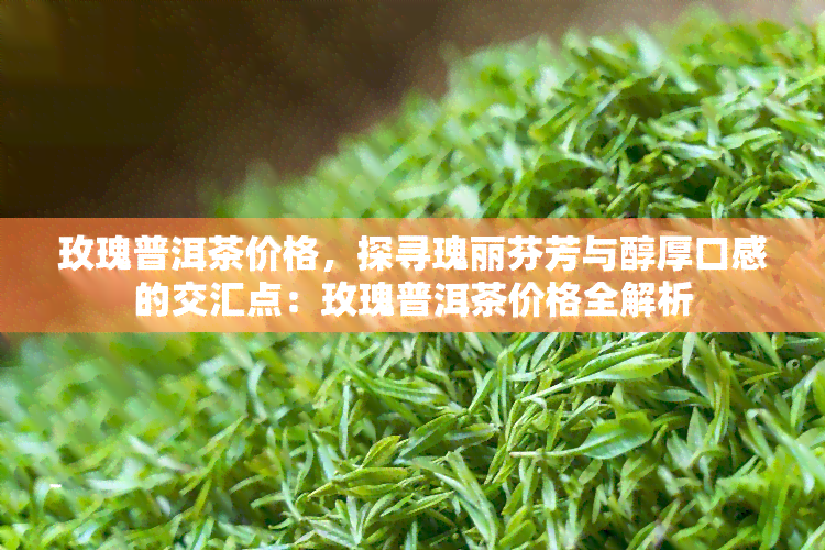 玫瑰普洱茶价格，探寻瑰丽芬芳与醇厚口感的交汇点：玫瑰普洱茶价格全解析