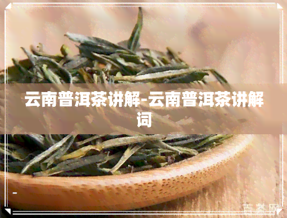 云南普洱茶讲解-云南普洱茶讲解词