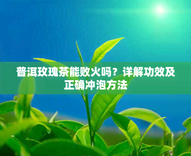 普洱玫瑰茶能败火吗？详解功效及正确冲泡方法