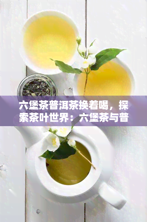 六堡茶普洱茶换着喝，探索茶叶世界：六堡茶与普洱茶的交替品鉴之旅