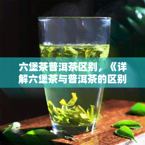 六堡茶普洱茶区别，《详解六堡茶与普洱茶的区别，你了解多少？》