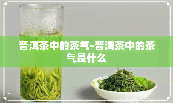 普洱茶中的茶气-普洱茶中的茶气是什么