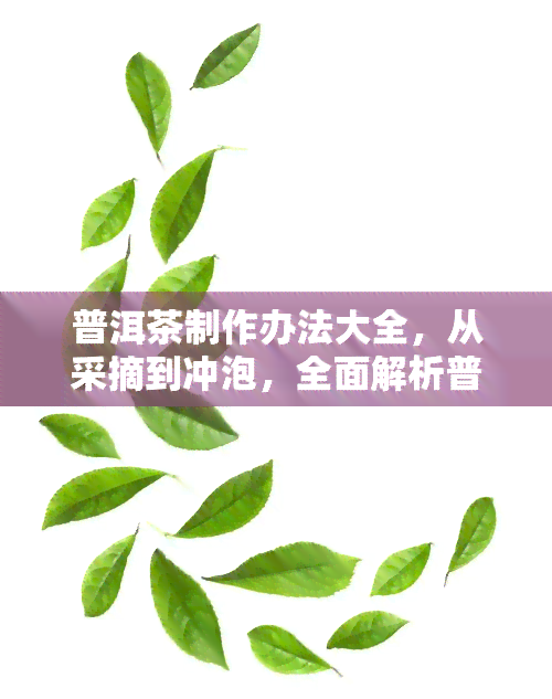 普洱茶制作办法大全，从采摘到冲泡，全面解析普洱茶的制作方法大全