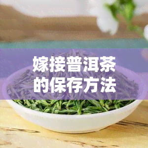 嫁接普洱茶的保存方法