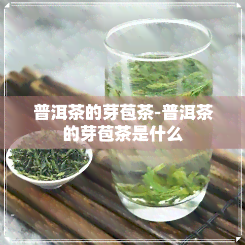 普洱茶的芽苞茶-普洱茶的芽苞茶是什么