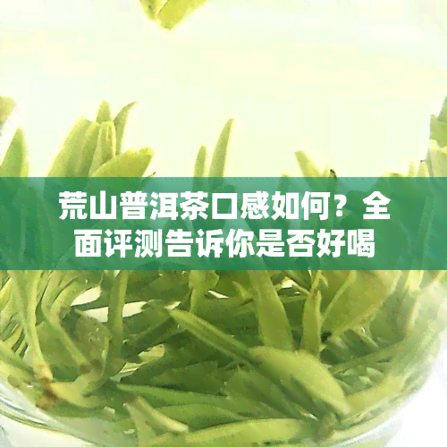 荒山普洱茶口感如何？全面评测告诉你是否好喝