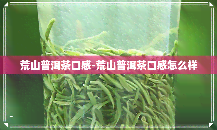 荒山普洱茶口感-荒山普洱茶口感怎么样