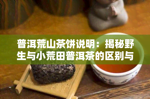 普洱荒山茶饼说明：揭秘野生与小荒田普洱茶的区别与特点