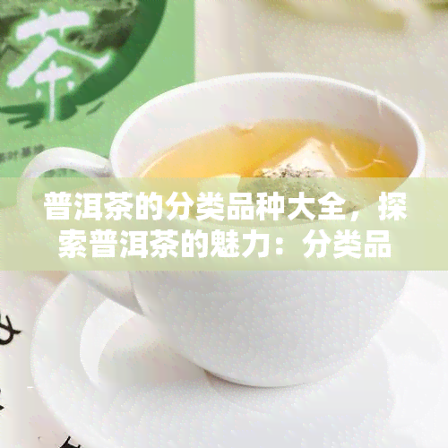 普洱茶的分类品种大全，探索普洱茶的魅力：分类品种大全解析