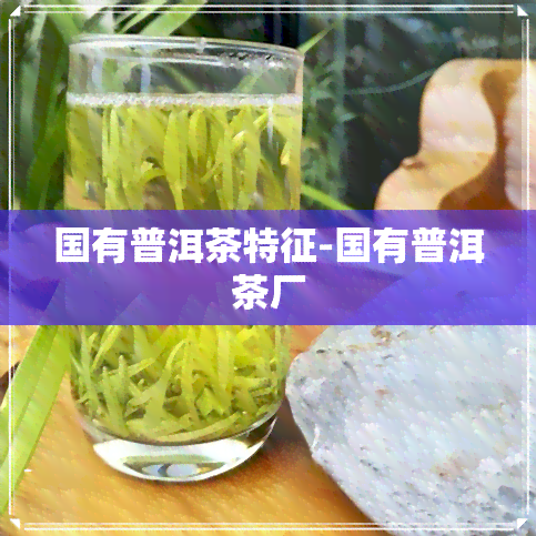 国有普洱茶特征-国有普洱茶厂