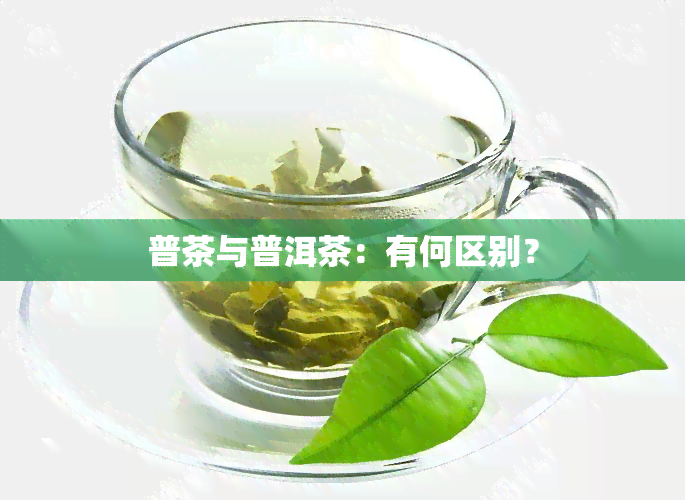 普茶与普洱茶：有何区别？