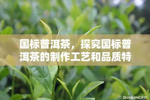 国标普洱茶，探究国标普洱茶的制作工艺和品质特点