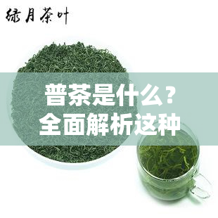 普茶是什么？全面解析这种独特的发酵饮品