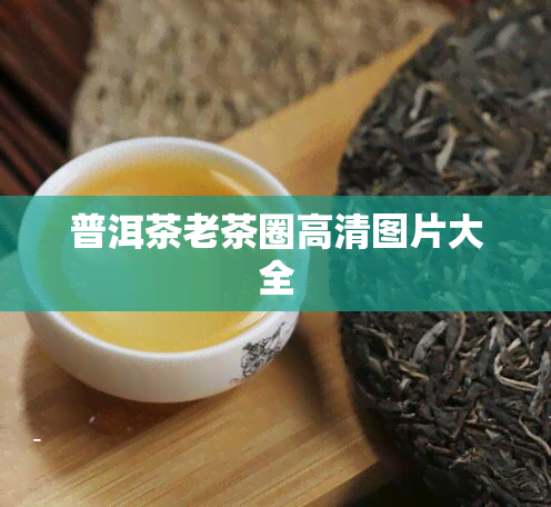 普洱茶老茶圈高清图片大全