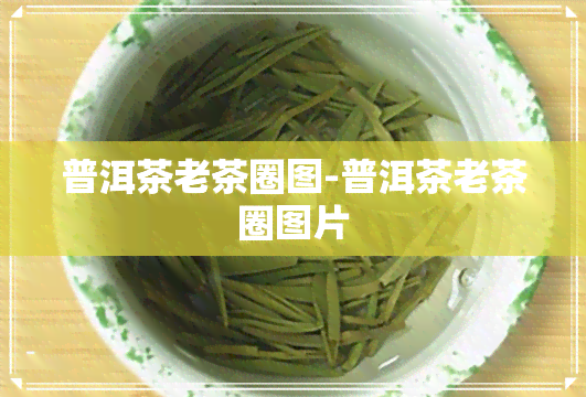 普洱茶老茶圈图-普洱茶老茶圈图片