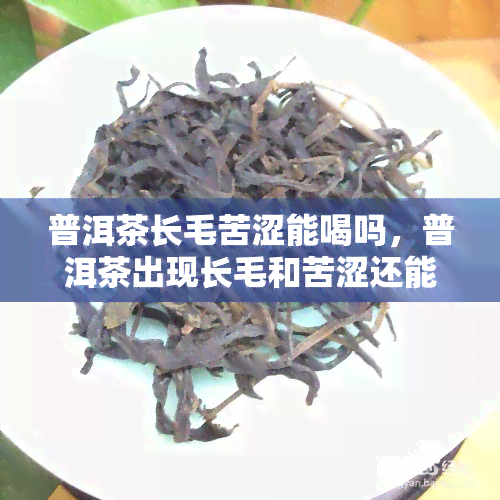 普洱茶长毛苦涩能喝吗，普洱茶出现长毛和苦涩还能饮用吗？