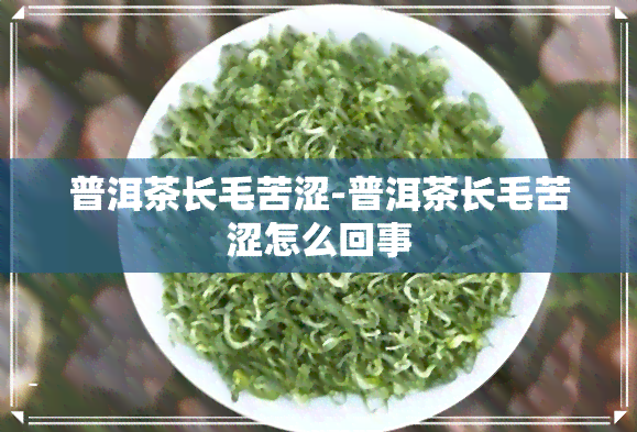 普洱茶长毛苦涩-普洱茶长毛苦涩怎么回事