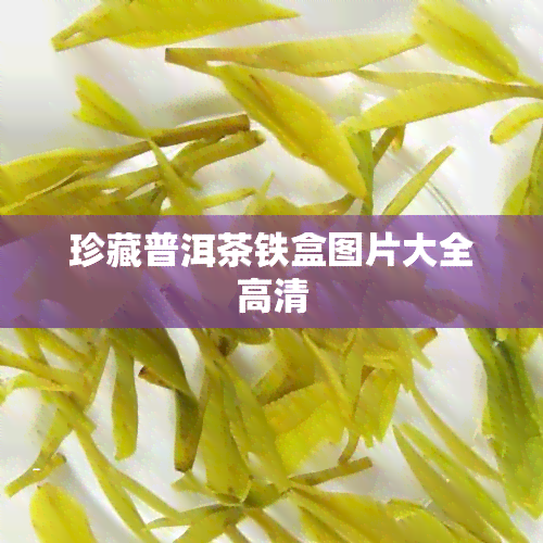 珍藏普洱茶铁盒图片大全高清