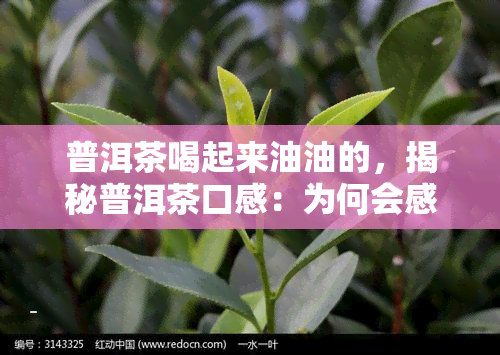 普洱茶喝起来油油的，揭秘普洱茶口感：为何会感觉“油油”的？