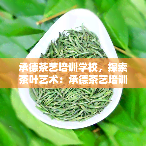 承德茶艺培训学校，探索茶叶艺术：承德茶艺培训学校的全方位指南