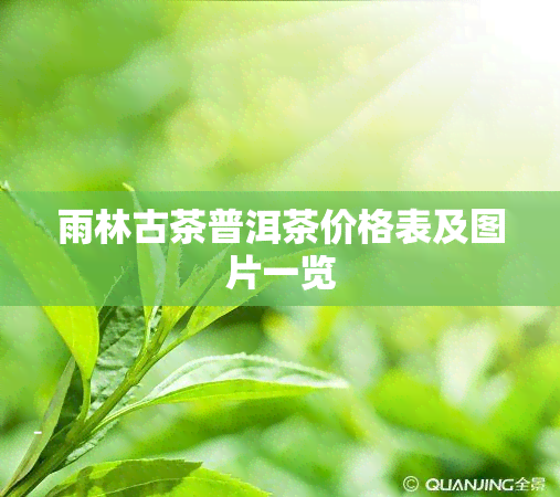 雨林古茶普洱茶价格表及图片一览