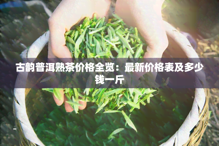 古韵普洱熟茶价格全览：最新价格表及多少钱一斤