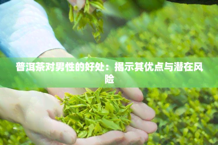 普洱茶对男性的好处：揭示其优点与潜在风险