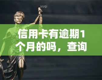 信用卡有逾期1个月的吗，查询信用卡逾期情况：是否逾期1个月？