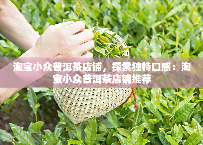 淘宝小众普洱茶店铺，探索独特口感：淘宝小众普洱茶店铺推荐