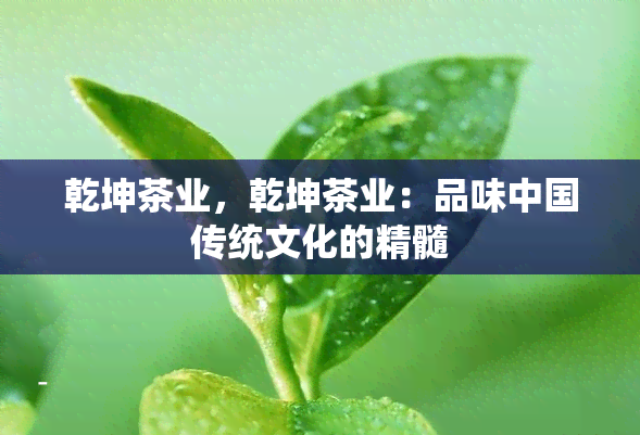 乾坤茶业，乾坤茶业：品味中国传统文化的精髓