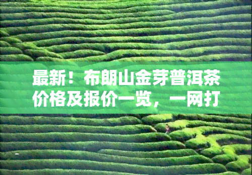 最新！布朗山金芽普洱茶价格及报价一览，一网打尽云南普洱布朗金芽信息