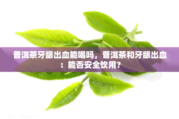 普洱茶牙龈出血能喝吗，普洱茶和牙龈出血：能否安全饮用？