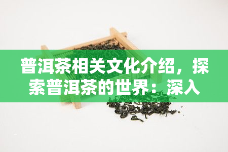 普洱茶相关文化介绍，探索普洱茶的世界：深入了解其历、文化和制作工艺