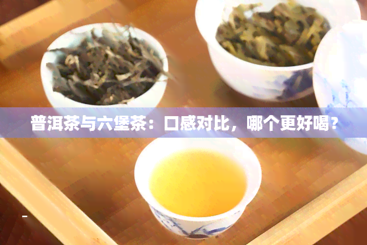 普洱茶与六堡茶：口感对比，哪个更好喝？