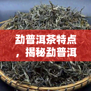 勐普洱茶特点，揭秘勐普洱茶的独特特点与魅力