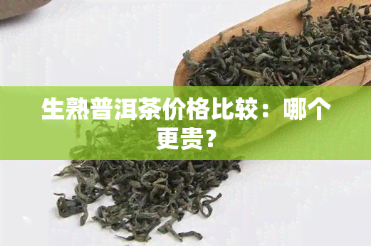 生熟普洱茶价格比较：哪个更贵？