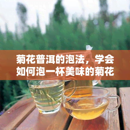 菊花普洱的泡法，学会如何泡一杯美味的菊花普洱茶