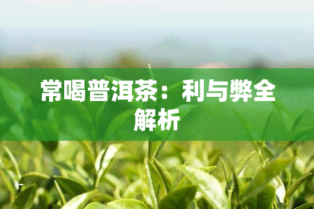 常喝普洱茶：利与弊全解析