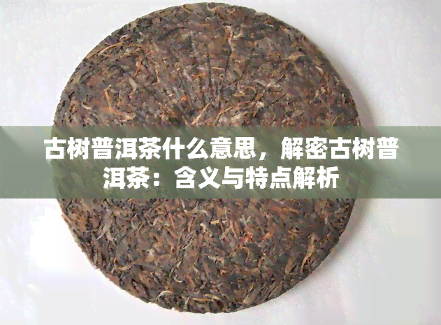 古树普洱茶什么意思，解密古树普洱茶：含义与特点解析