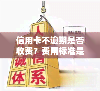 信用卡不逾期是否收费？费用标准是什么？