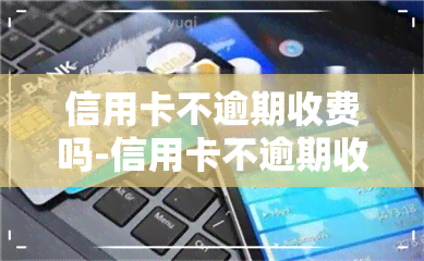 信用卡不逾期收费吗-信用卡不逾期收费吗是真的吗