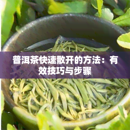 普洱茶快速散开的方法：有效技巧与步骤