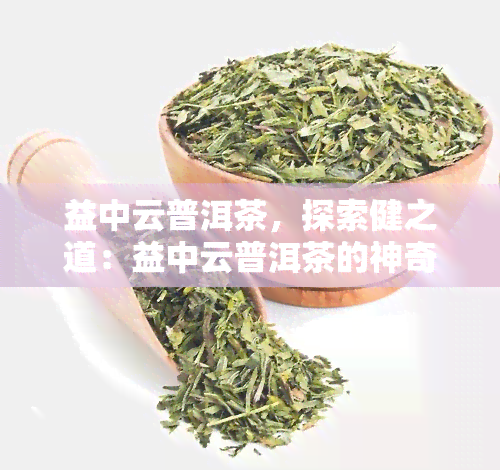 益中云普洱茶，探索健之道：益中云普洱茶的神奇功效与品鉴指南