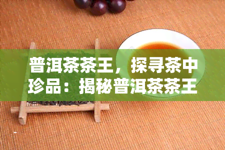 普洱茶茶王，探寻茶中珍品：揭秘普洱茶茶王的神秘魅力