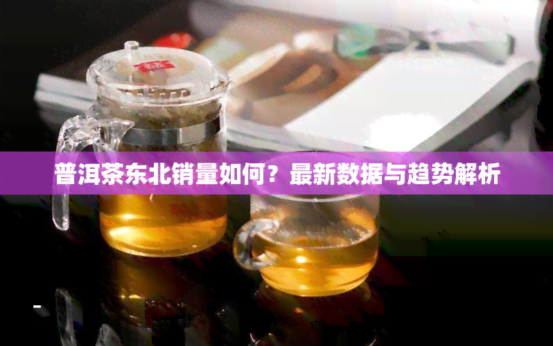 普洱茶东北销量如何？最新数据与趋势解析