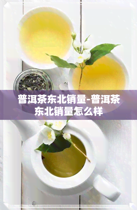 普洱茶东北销量-普洱茶东北销量怎么样