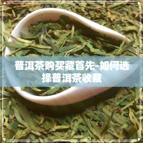 普洱茶购买藏首先-如何选择普洱茶收藏